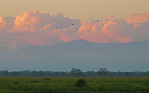 Kaziranga National Park